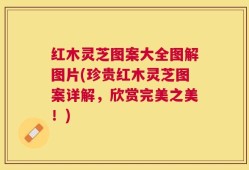 红木灵芝图案大全图解图片(珍贵红木灵芝图案详解，欣赏完美之美！)