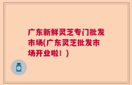 广东新鲜灵芝专门批发市场(广东灵芝批发市场开业啦！)