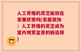 人工养殖的灵芝能放在家里欣赏吗(家居装饰：人工养殖的灵芝成为室内观赏盆景的新选择)