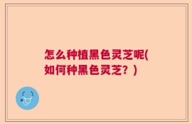 怎么种植黑色灵芝呢(如何种黑色灵芝？)