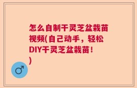 怎么自制干灵芝盆栽苗视频(自己动手，轻松DIY干灵芝盆栽苗！)