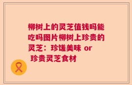 柳树上的灵芝值钱吗能吃吗图片柳树上珍贵的灵芝：珍馐美味 or 珍贵灵芝食材