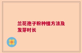 兰花孢子粉种植方法及发芽时长