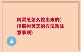树灵芝怎么挖出来的(挖掘树灵芝的方法及注意事项)