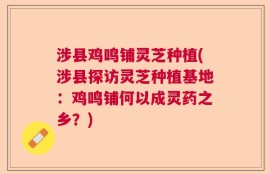 涉县鸡鸣铺灵芝种植(涉县探访灵芝种植基地：鸡鸣铺何以成灵药之乡？)
