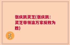 张庆凯灵芝(张庆凯：灵芝带领渝万家反败为胜)