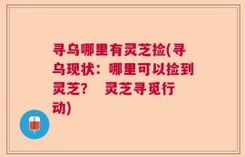寻乌哪里有灵芝捡(寻乌现状：哪里可以捡到灵芝？  灵芝寻觅行动)
