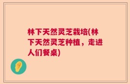 林下天然灵芝栽培(林下天然灵芝种植，走进人们餐桌)
