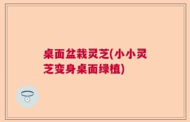 桌面盆栽灵芝(小小灵芝变身桌面绿植)