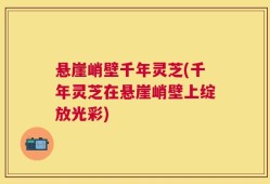 悬崖峭壁千年灵芝(千年灵芝在悬崖峭壁上绽放光彩)