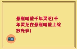 悬崖峭壁千年灵芝(千年灵芝在悬崖峭壁上绽放光彩)
