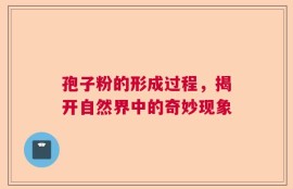 孢子粉的形成过程，揭开自然界中的奇妙现象