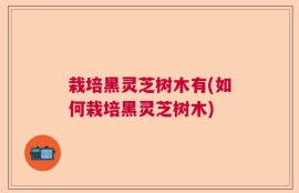 栽培黑灵芝树木有(如何栽培黑灵芝树木)
