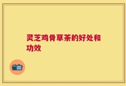 灵芝鸡骨草茶的好处和功效