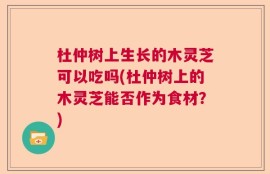 杜仲树上生长的木灵芝可以吃吗(杜仲树上的木灵芝能否作为食材？)