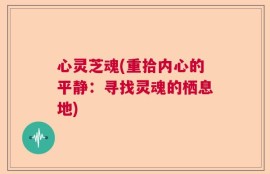 心灵芝魂(重拾内心的平静：寻找灵魂的栖息地)
