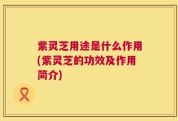 紫灵芝用途是什么作用(紫灵芝的功效及作用简介)