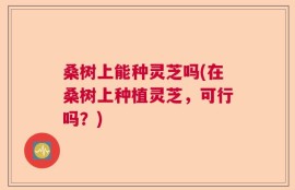 桑树上能种灵芝吗(在桑树上种植灵芝，可行吗？)