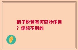 孢子粉管有何奇妙作用？你想不到的