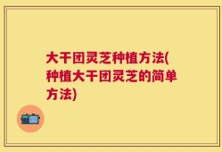 大干团灵芝种植方法(种植大干团灵芝的简单方法)