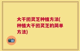 大干团灵芝种植方法(种植大干团灵芝的简单方法)