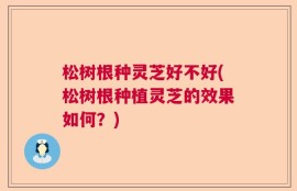 松树根种灵芝好不好(松树根种植灵芝的效果如何？)