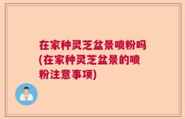 在家种灵芝盆景喷粉吗(在家种灵芝盆景的喷粉注意事项)
