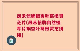 晟禾信牌银杏叶葛根灵芝片(晟禾信牌自然植萃片银杏叶葛根灵芝拼接)