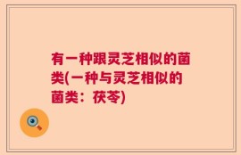 有一种跟灵芝相似的菌类(一种与灵芝相似的菌类：茯苓)