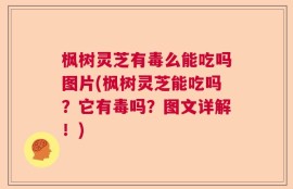 枫树灵芝有毒么能吃吗图片(枫树灵芝能吃吗？它有毒吗？图文详解！)