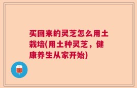 买回来的灵芝怎么用土栽培(用土种灵芝，健康养生从家开始)