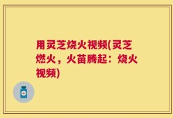 用灵芝烧火视频(灵芝燃火，火苗腾起：烧火视频)