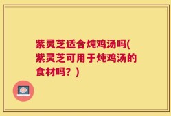 紫灵芝适合炖鸡汤吗(紫灵芝可用于炖鸡汤的食材吗？)