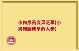 小狗尿苔变灵芝草(小狗如厕成草药人参)