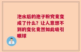 泡水后的孢子粉究竟变成了什么？让人意想不到的变化竟然如此吸引眼球