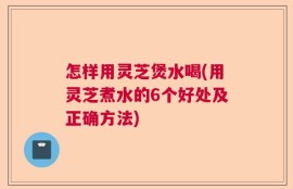 怎样用灵芝煲水喝(用灵芝煮水的6个好处及正确方法)