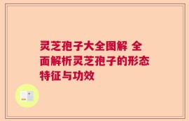 灵芝孢子大全图解 全面解析灵芝孢子的形态特征与功效