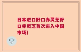 日本进口野口赤灵芝野口赤灵芝首次进入中国市场)