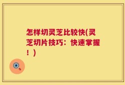 怎样切灵芝比较快(灵芝切片技巧：快速掌握！)