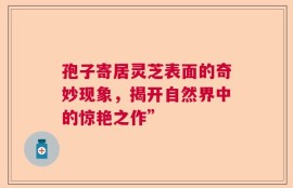 孢子寄居灵芝表面的奇妙现象，揭开自然界中的惊艳之作”