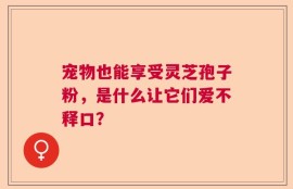 宠物也能享受灵芝孢子粉，是什么让它们爱不释口？
