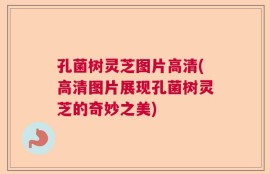 孔菌树灵芝图片高清(高清图片展现孔菌树灵芝的奇妙之美)