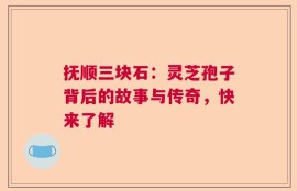 抚顺三块石：灵芝孢子背后的故事与传奇，快来了解