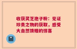 收获灵芝孢子粉：见证珍贵之物的获取，感受大自然馈赠的惊喜