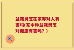 盆栽灵芝在家养对人有害吗(家中种盆栽灵芝对健康有害吗？)