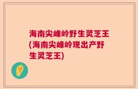 海南尖峰岭野生灵芝王(海南尖峰岭现出产野生灵芝王)
