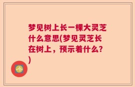 梦见树上长一棵大灵芝什么意思(梦见灵芝长在树上，预示着什么？)