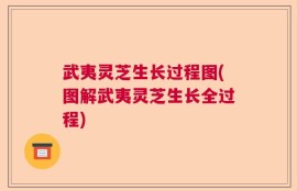 武夷灵芝生长过程图(图解武夷灵芝生长全过程)