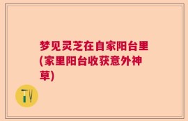 梦见灵芝在自家阳台里(家里阳台收获意外神草)
