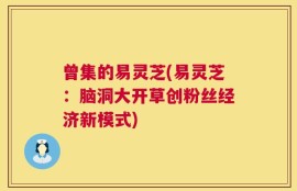曾集的易灵芝(易灵芝：脑洞大开草创粉丝经济新模式)